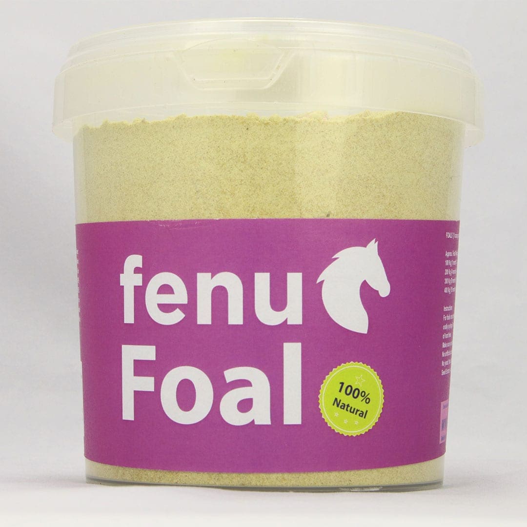 FenuFoal | For Foals stomach health