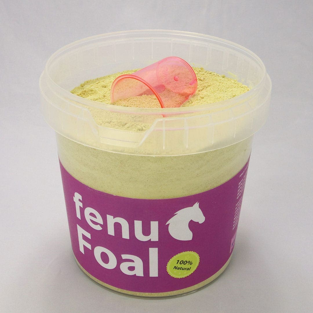 FenuFoal | For Foals stomach health - Image 3